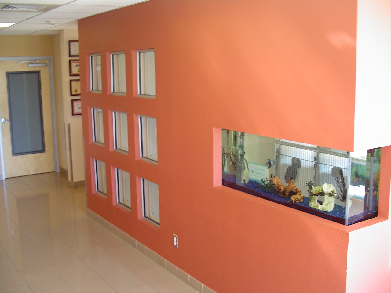 Vet Clinic in San Antonio Tour Our Office Pet Medical Center